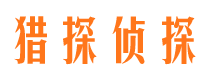 合山市场调查